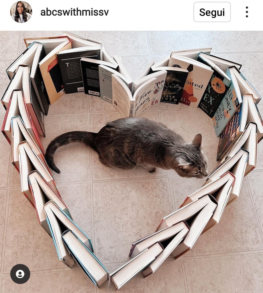 justLucreziaM's tweet photo. Venerdì, tempo di promuovere la lettura approfittando del #venerdìgattini, con #LibriEGatti (ampliato in #PelosiLettori perché chi ama la cultura non è razzista). Forza con foto e disegni a tema, con questi #! https://t.co/8kXSaQLiSH