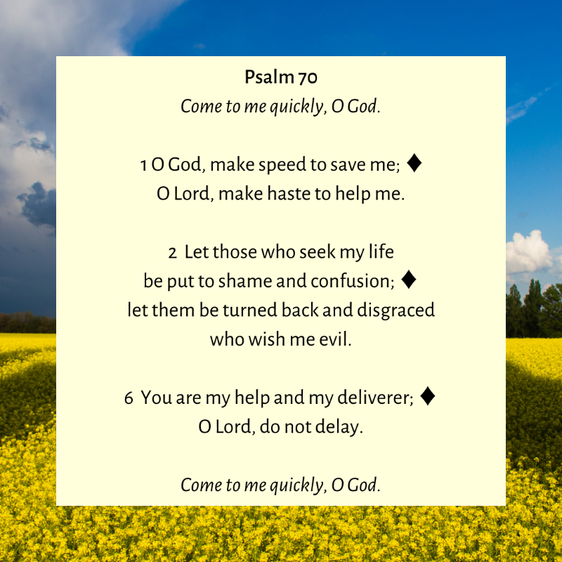 stjamesnl's tweet photo. We can pray the Psalms for ourselves, but also on behalf of others. Let's continue praying for peace in Ukraine. Join us for Morning Prayer at 9am - https://t.co/jqypV9QbuN

#MorningPrayer #Psalm70 #PrayforUkraine