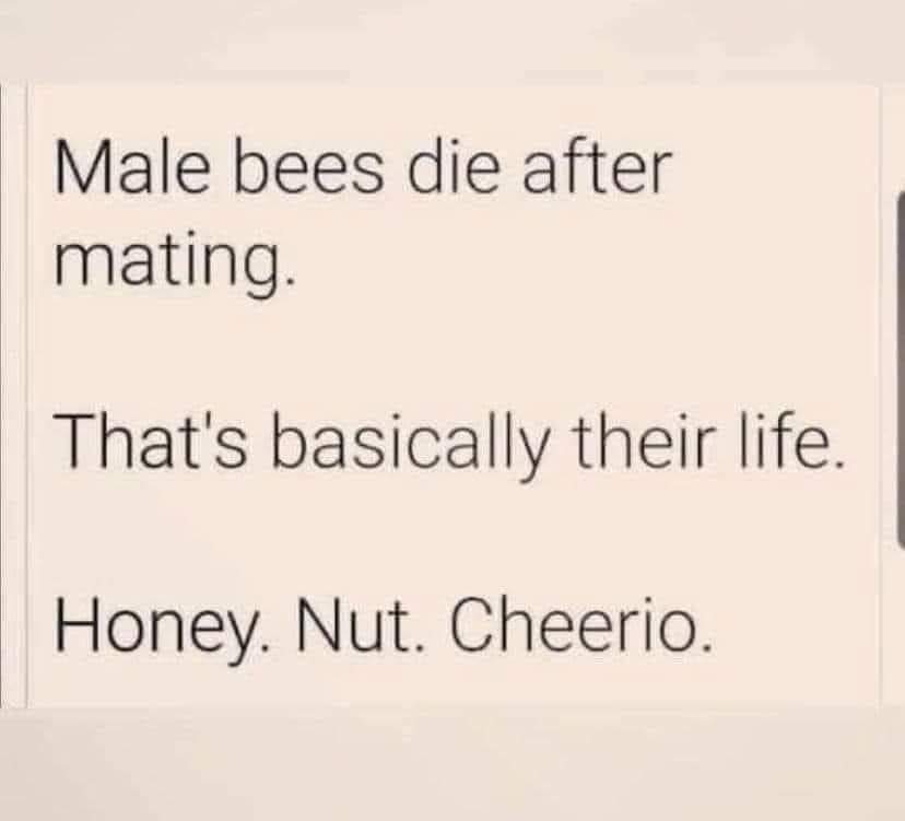 🤣🤣🤣🤣🤣