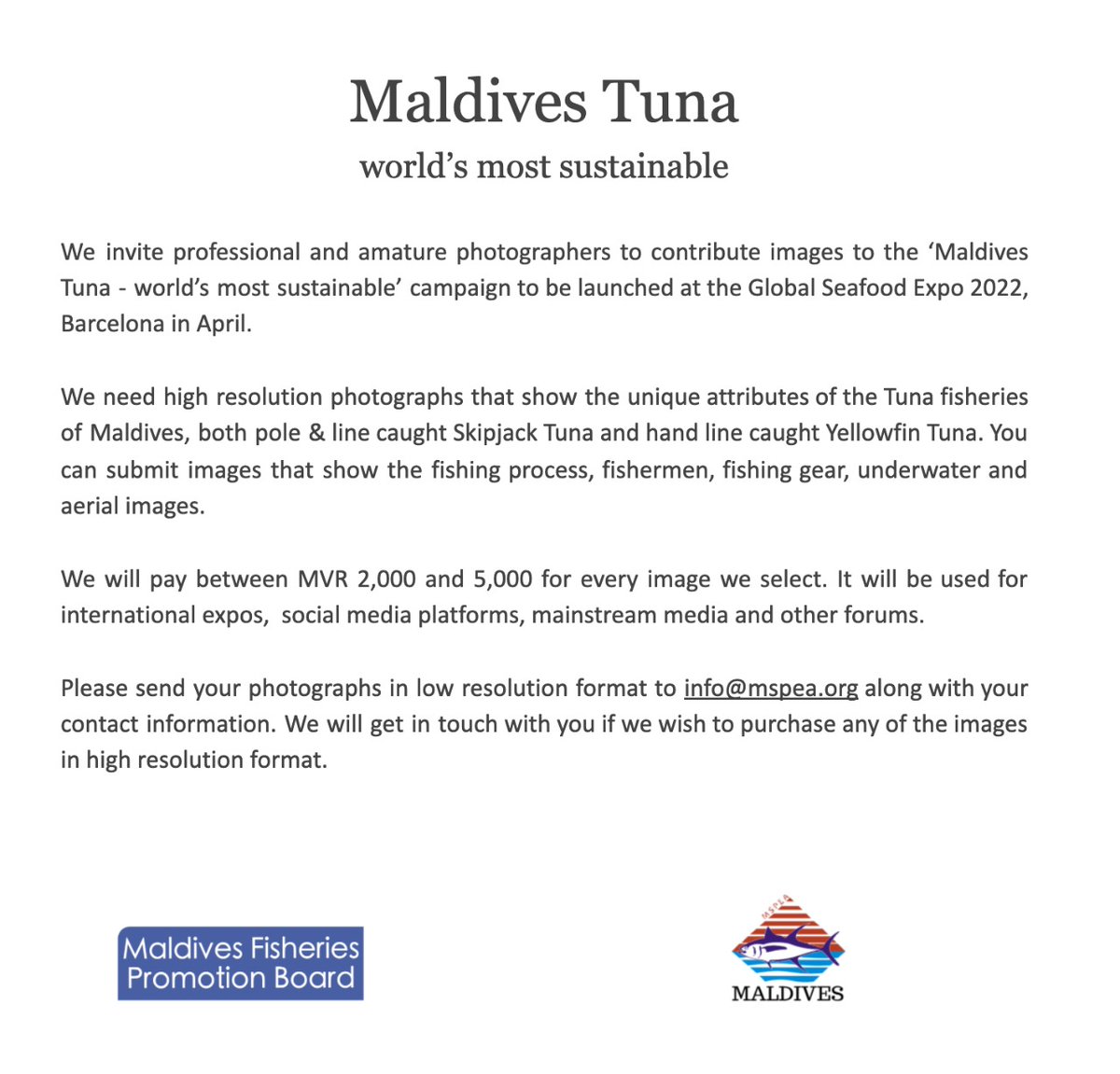 MSPEA-Maldives 🇲🇻 tweet media