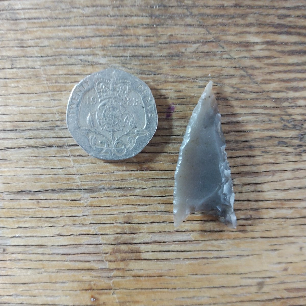 LawrenceBillin8's tweet photo. For #findsfriday - an oblique arrowhead, Late Neolithic, from a site in the Norfolk Breckland (and a 20p, from my pocket) https://t.co/71wc5nTgBJ