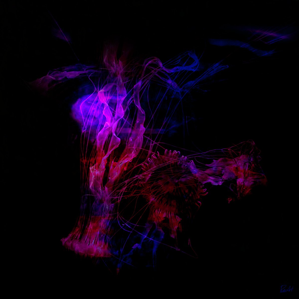 PeterArt18's tweet photo. @BenjaminBitcoin Wow! Tezos! Gm bro!
Some of my work on tezos
@objktcom
#PeterArt18
Wave of Change
Left 13/30
3 $XTZ
https://t.co/bk4drtpe5g
Nebula
Left 14/30
3 $XTZ 
https://t.co/MlLmeMXgeN
Distorted Vision
Left 1/10
3 $XTZ
https://t.co/kXtDbHYJk8 https://t.co/vAXJsXy6Pw