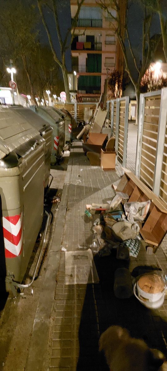 David Civantos Jiménez tweet media