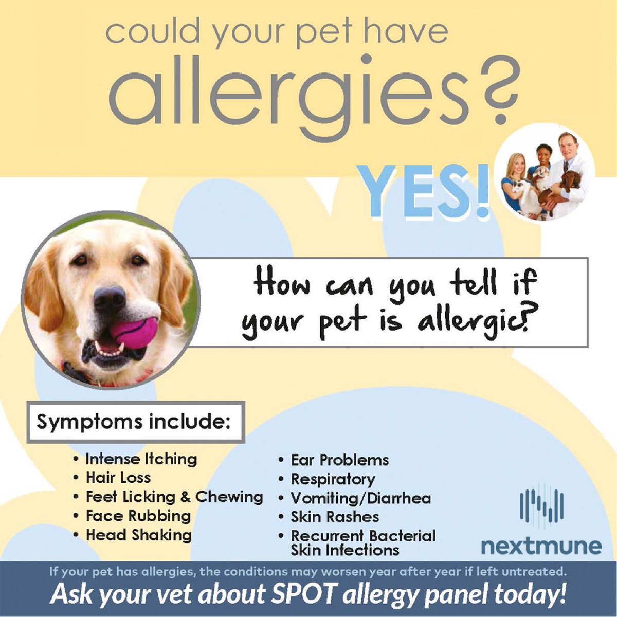 eurovetsworld's tweet photo. Could your pet have allergies?
Yes, your pets can suffer the unpleasant effects of allergies, just like humans do.
Know more about Pet Allergies and treatment. DM us @ Eurovets for more information about Nextmune.
#eurovets #nextmune #petallergy https://t.co/NJPl43A41E