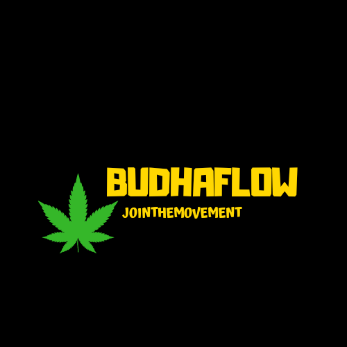 budhaflow's tweet photo. #jointherevolution #jointhemovement https://t.co/YWz8bBU91M