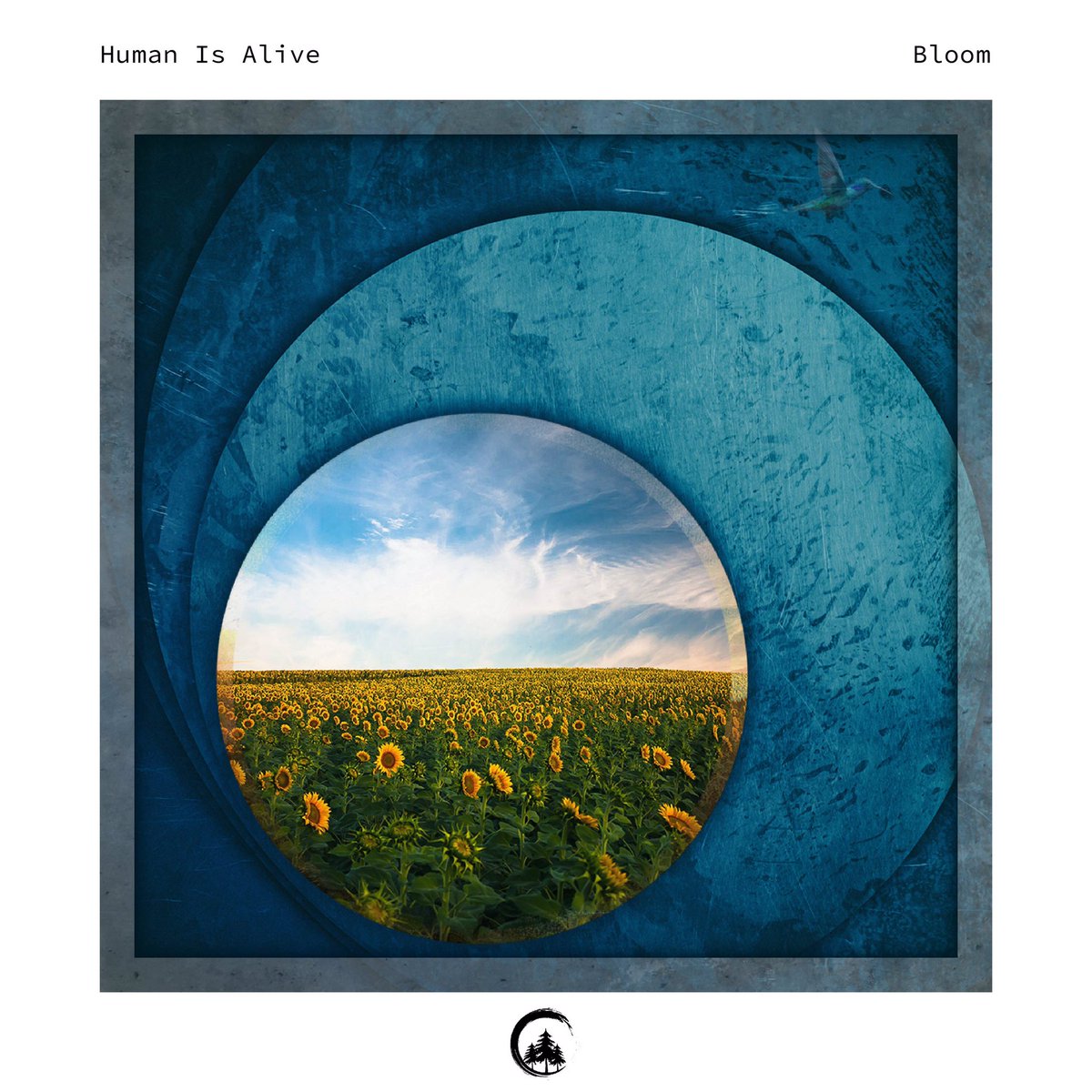 Sleep Cycle II compilation is out now on <a href="/ValleyVRecords/">VVR</a> 
I had the pleasure to participate with my track “Bloom”
valley-view-records.biglink.to/New_Music

Album features 18 todays top producers
Compilation is also available on limited edition cassettes which you can grab on Valley View Bandcamp!