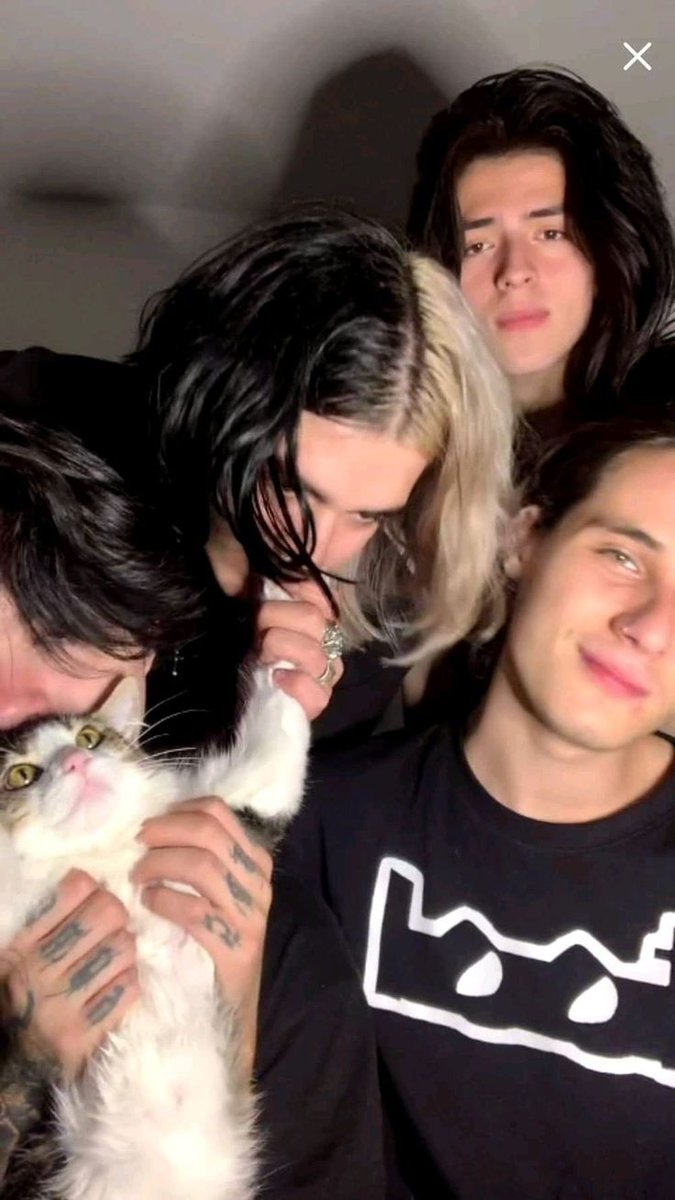 brooketommo's tweet image. #DPDA