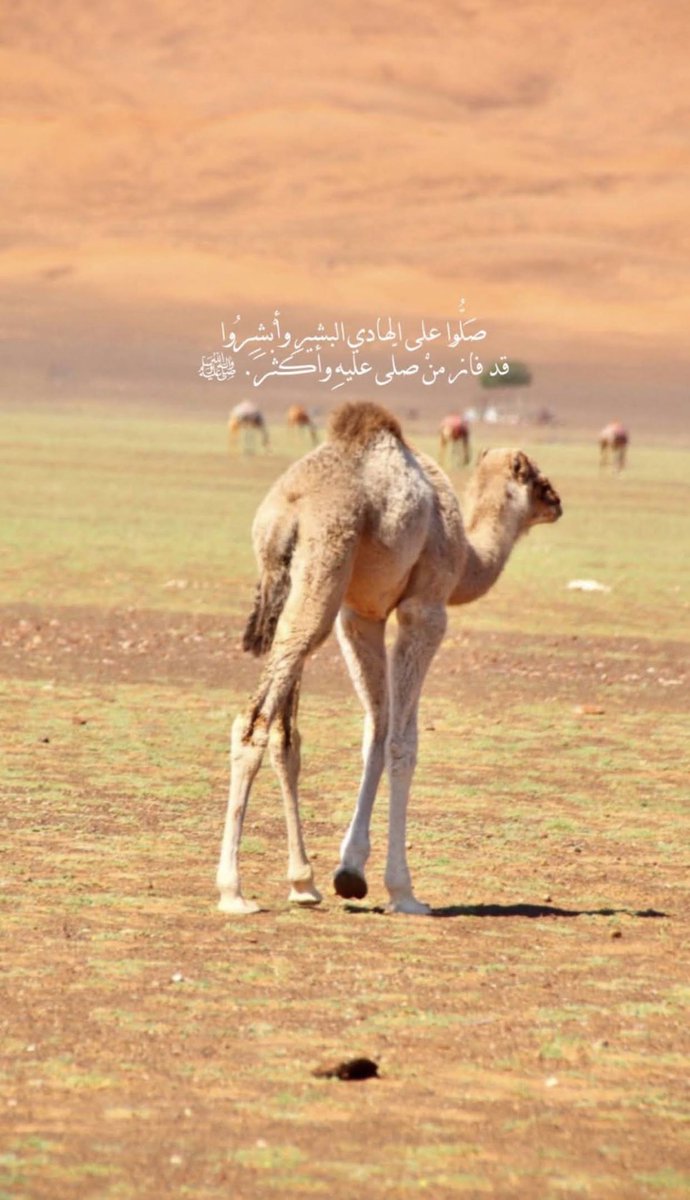 اللهم صلِّ وسلم على نبينا محمد #الصلاه_علي_النبي #ليله_الجمعه