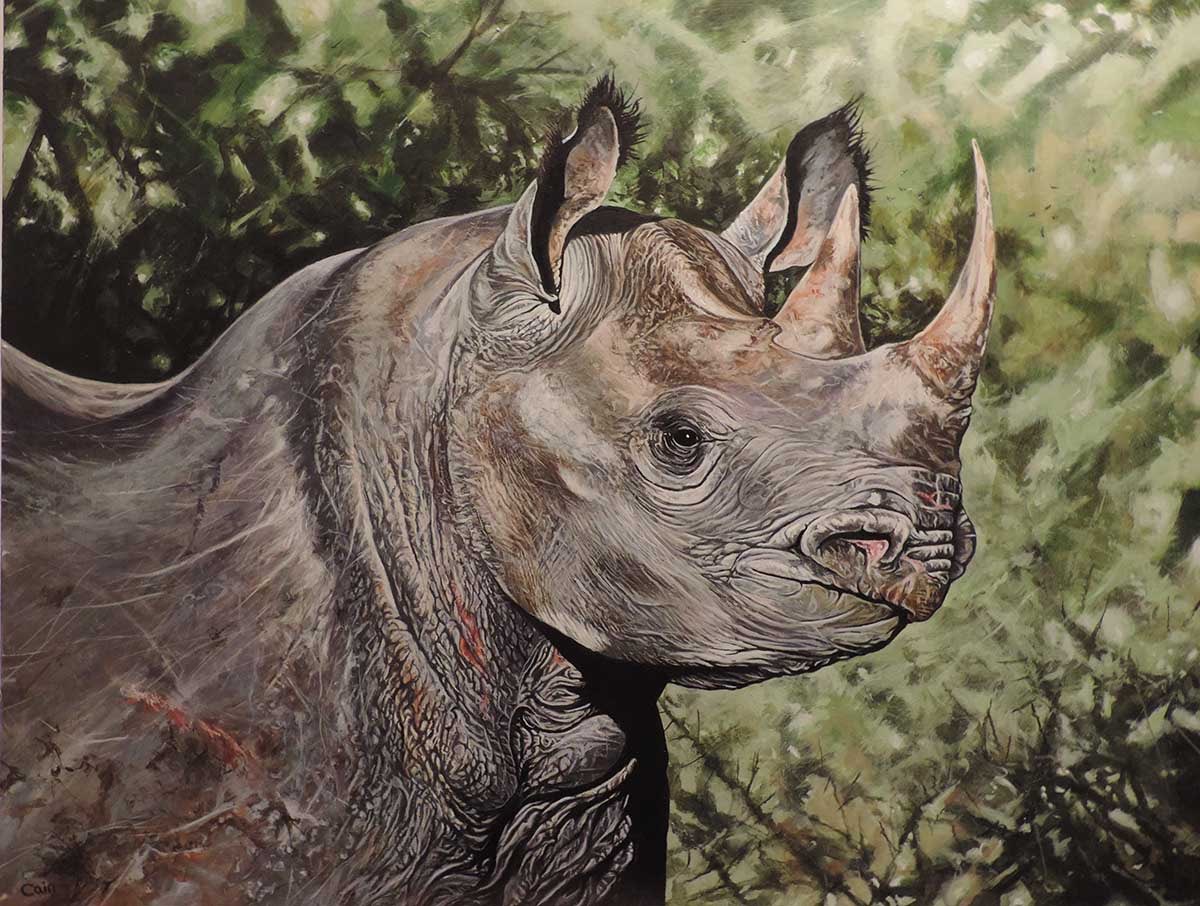 StudioWebsites's tweet photo. #ArtOfTheDay #art
#Artist: Jeff Cain – animal art
#Artwork: Black Rhino painting. Arylic on wood panel. Size 80x60cm. ORIGINAL FOR SALE
Copyright with Artist
#jeffcainanimalart #jeffcain #commissions #blackrhino #rhino
https://t.co/wkHCXDQoop https://t.co/Ee38CQXK0d