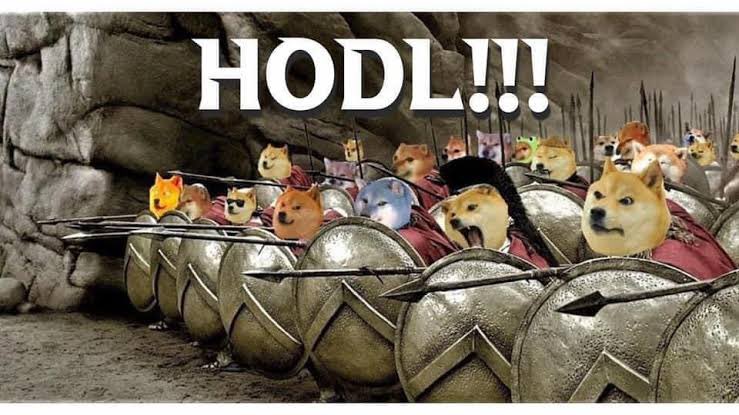 DogeArmyInu's tweet photo. Guys, I want everyone to contribute to the community #DogeArmy be honest, brave dogs, you have a great marketing plan DM me, I'm willing to pay. https://t.co/rAokR0t5ME
