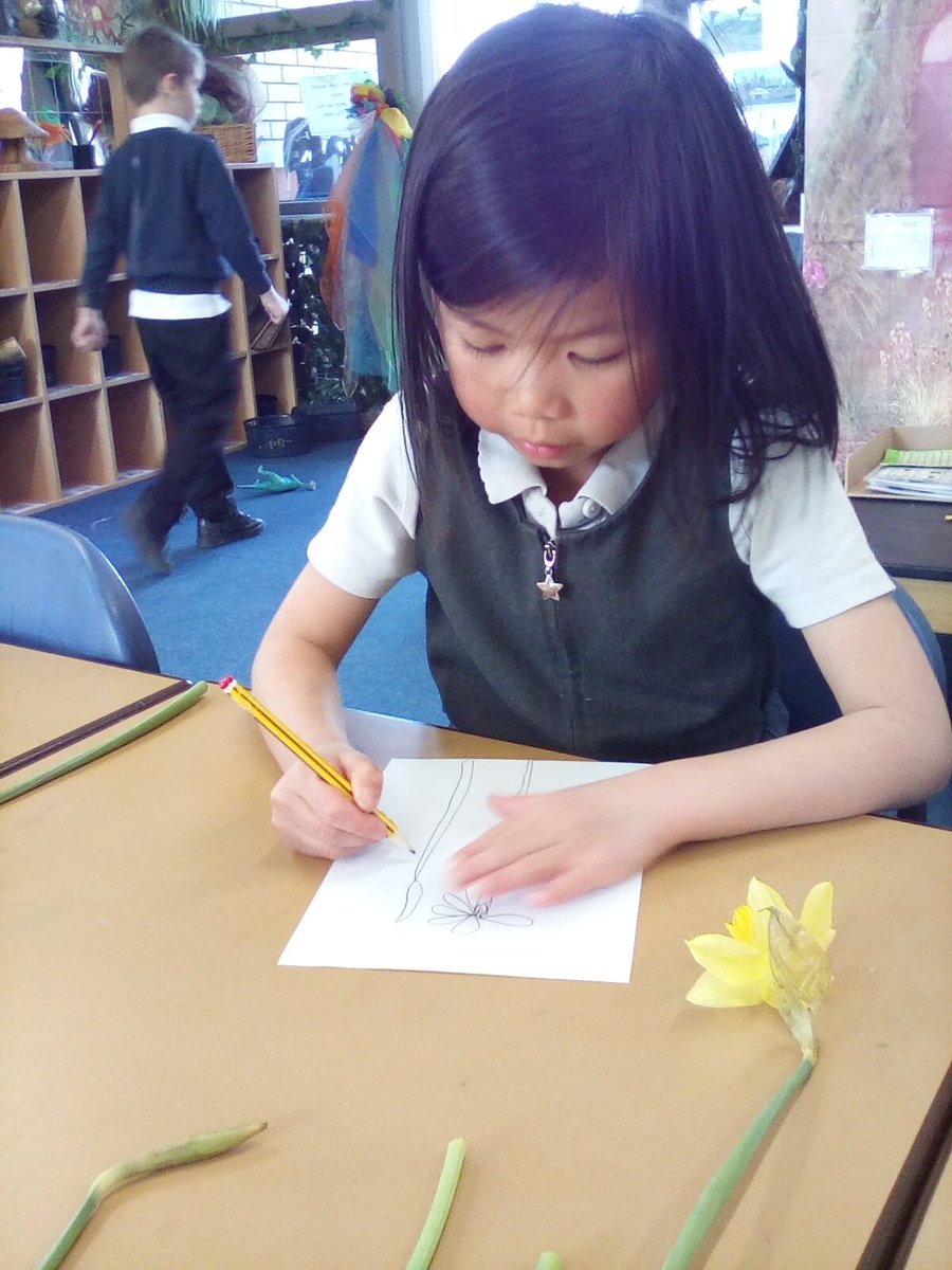 LakesideYork's tweet photo. We have been looking at 'signs of Spring' in Year 1. This week we used our sketching skills to sketch some beautiful daffodils. #Lakesidescience #signsofspring #ahostofgoldendaffodils https://t.co/EiYpyRUwi9