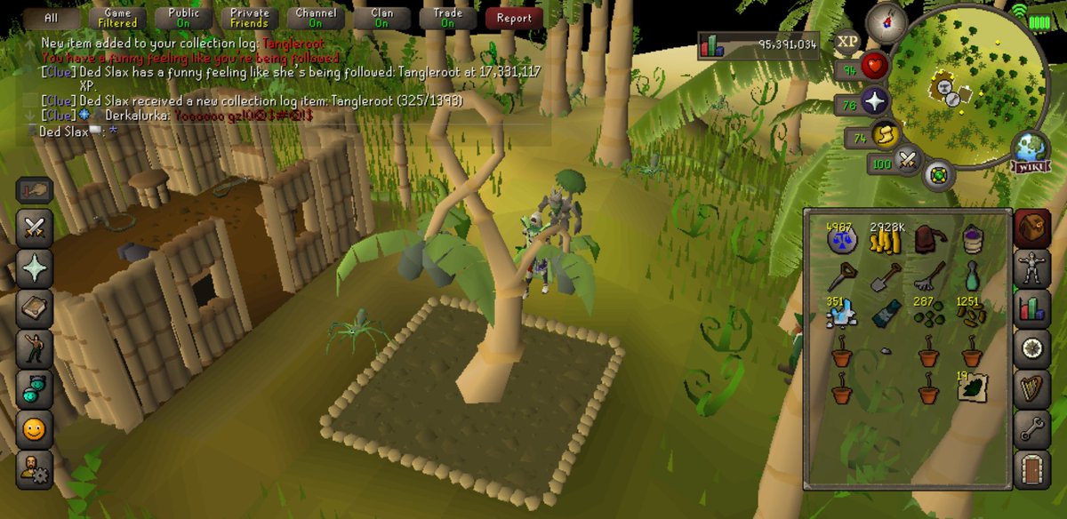 Slax_OSRS's tweet image. Pet #1 Tangleroot let&apos;s goooo