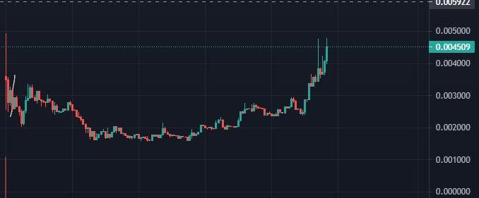 MinoruXBT's tweet photo. rip for all who sold their token for a loss right after the donation event LMAO $jpeg https://t.co/c2zpNOQI10