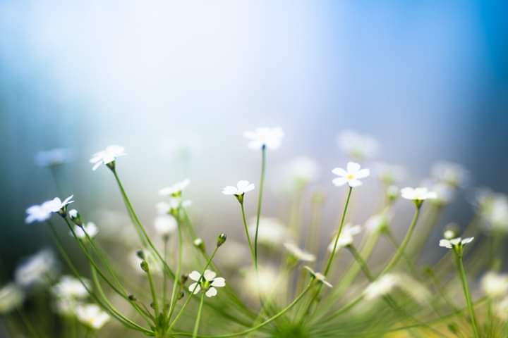 Spring спринг. Spring спринг