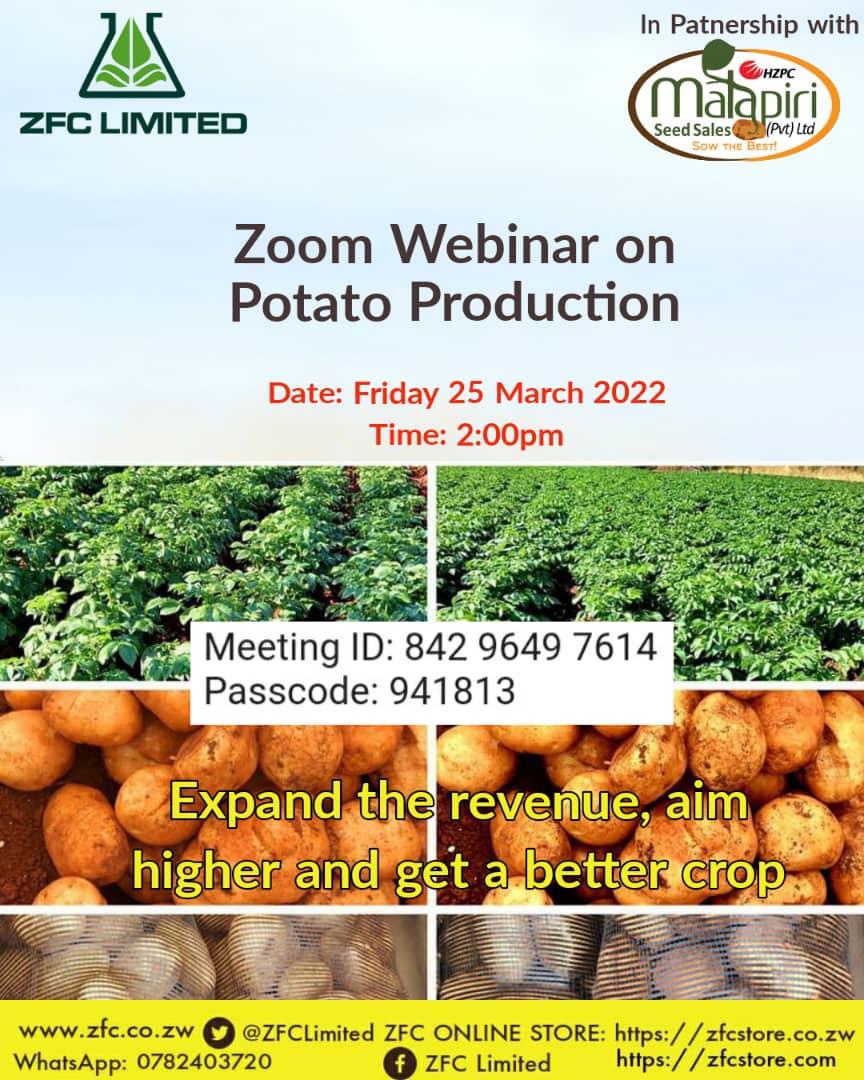 Join us today in the afternoon as ZFC Limited dissects the art of potato production. Hear more about potato varieties from Matapiri Seeds. You can click the link to join: us06web.zoom.us/j/84296497614?…
