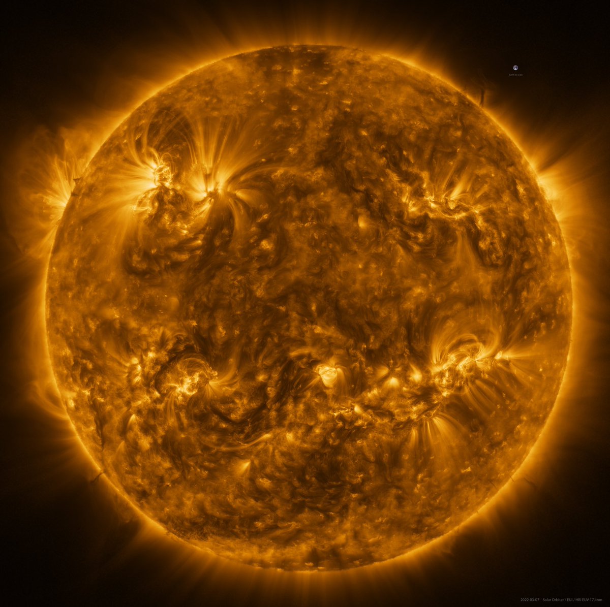 Life_Of_NFT's tweet photo. Gm frens ☕️ here's an epic pic of the sun. May it shine on you today! https://t.co/bpYz9WhqCY