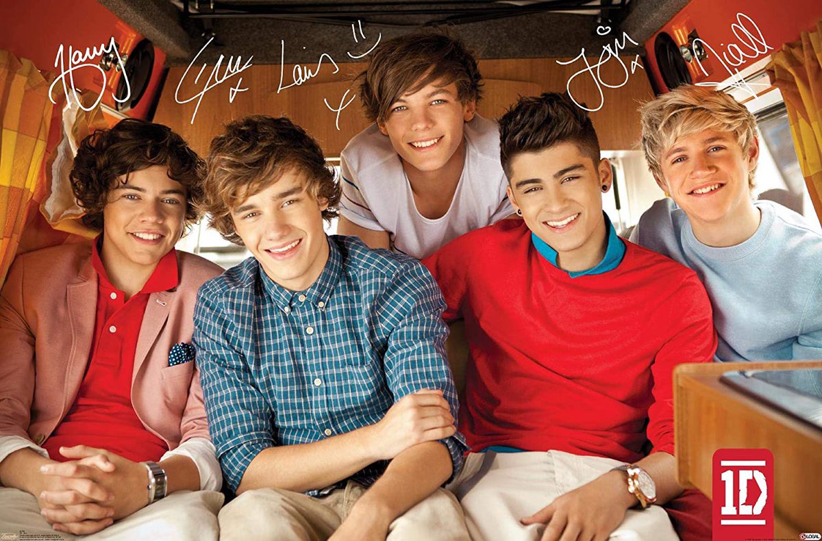 this is weirdly specific but did anyone else have this poster but more specifically get it at their schools book fair?