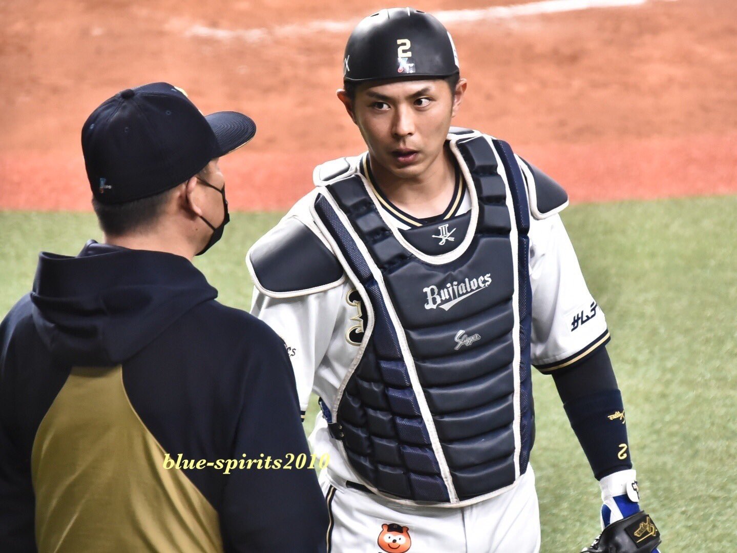 ChrisFelicetta/best baseball fans / Twitter