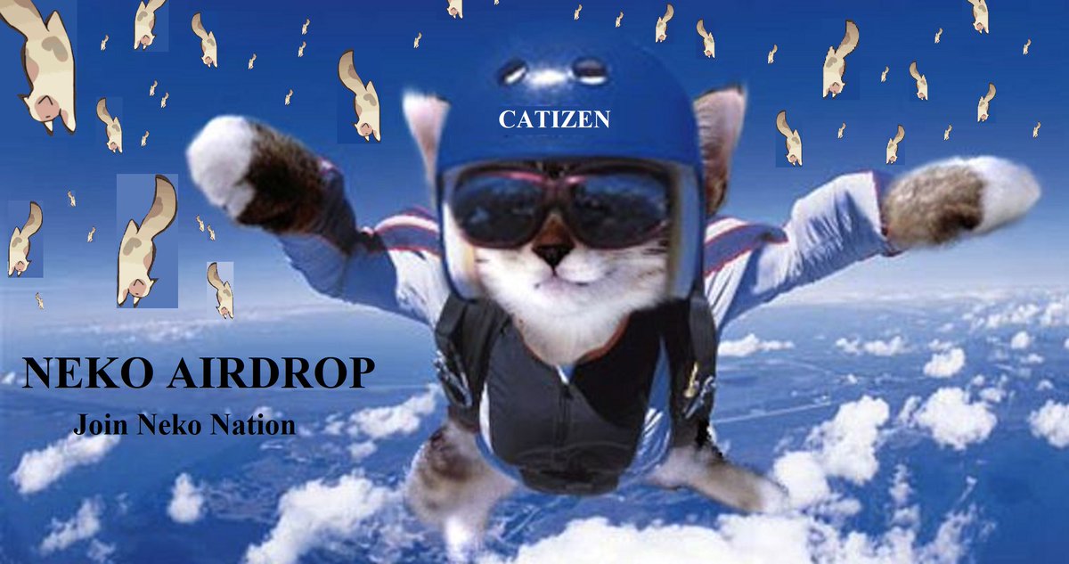 It's a bird! It's a plane! No, it's Nekos!
#NekoNation #Lmeow