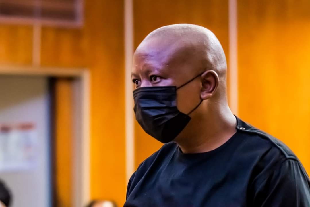 MafavukeMsomi's tweet photo. CIC @Julius_S_Malema is very powerful ✊🏾 https://t.co/KqINOAnVaW