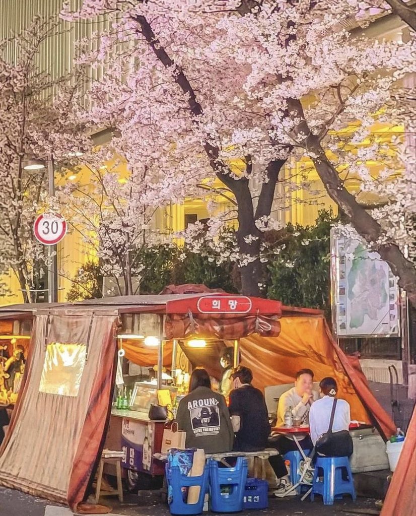 unnie_review's tweet photo. โรแมนติกสุดๆอย่างกับอยู่ในซีรีส์เกาหลี😍🌸
ใครชอบบรรยากาศนั่งกิน+ดื่มโซจูในเต้นท์ข้างทางแบบในซีรีส์ต้องมาที่นี่ ถนนสตรีทฟู้ดข้างทาง นั่งทานในเต้นท์🍻🥢🍢
ยิ่งช่วงดอกพ็อตกดบานยิ่งโรแมนติกไปอีก🌸🌸🌸

📍พิกัด 부산 벛꽃포차거리 
부산 부산진구 부전동 576-1

#รีวิวเกาหลี
@Review_korea https://t.co/AM2q5NFXXb