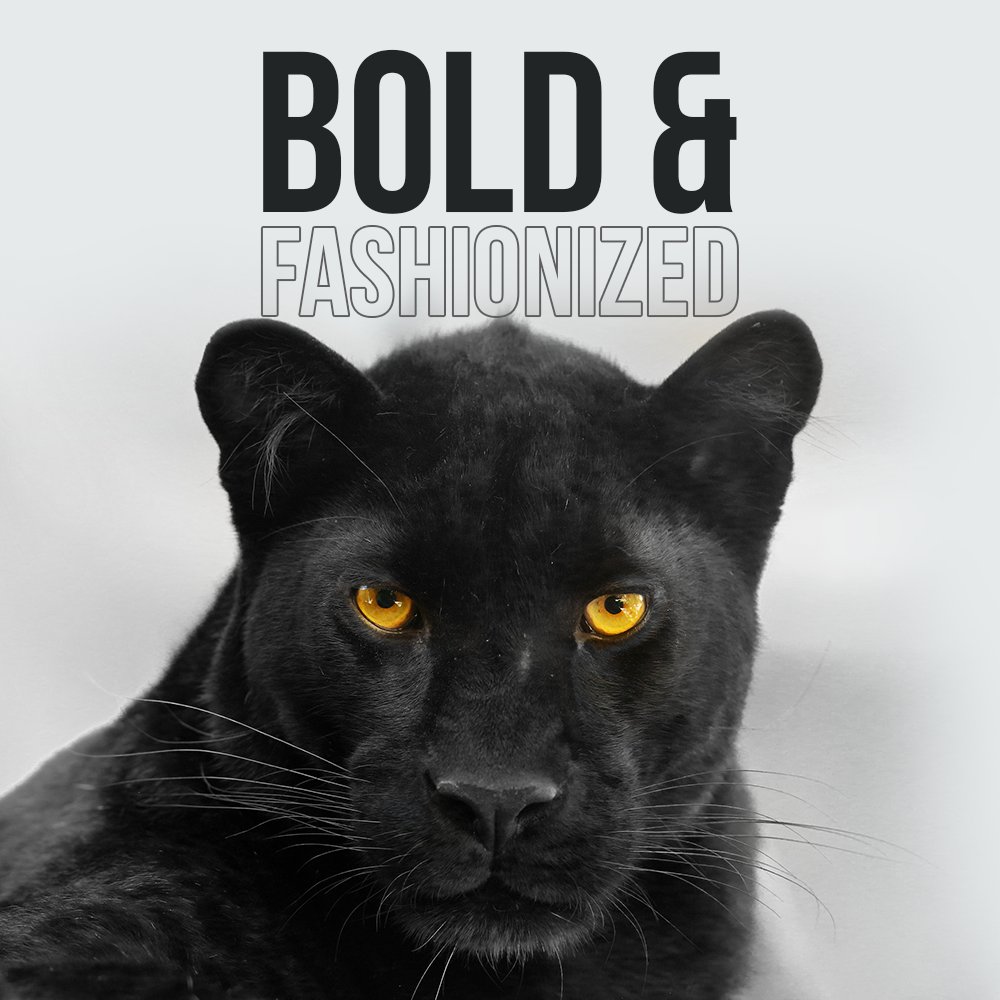 zestmelange's tweet photo. Roar with confidence, the Bold &amp; Fashionized collection in Black is here to make a statement for you. To shop, visit https://t.co/HEmZgkszCi

#ZestMelange #BoldAndFashionized #ZM #slowfashion #fashion #cotton #consciousfashion #corporatefashion #ethicalfashion #BeBold #black https://t.co/aK5pcWbUNL