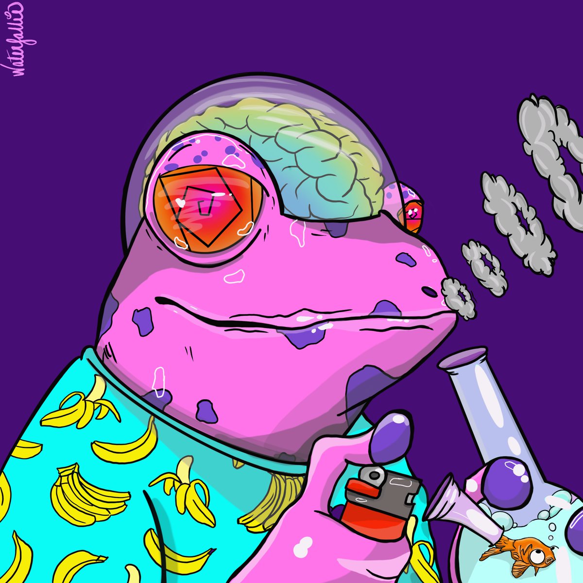 The Stoned Frogs tweet media