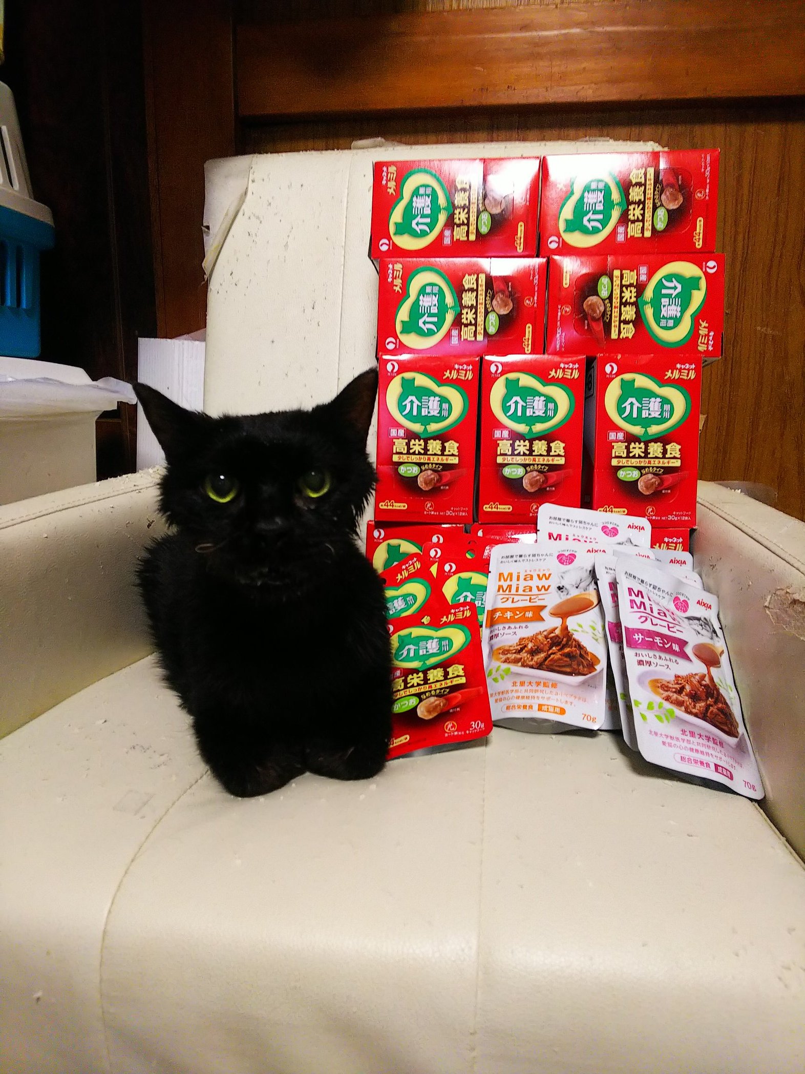 猫カフェ 猫まるカフェ別館 Nekomaru East Twitter