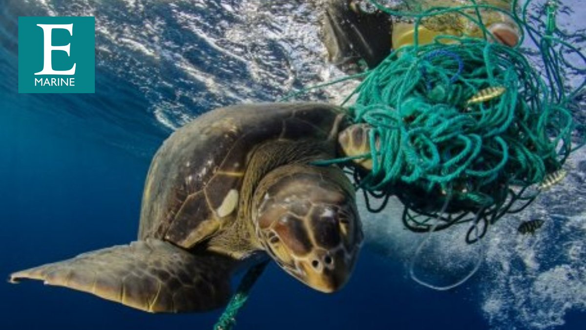 Calling South West residents! Help researchers tackle plastic pollution locally & miles away by completing a short survey. As part of a project to cut pollution in the #Galapagos, researchers will study attitudes in the SW & in areas of Peru & Ecuador. https://t.co/w88j1FGVdt https://t.co/uvIzRUlaFS