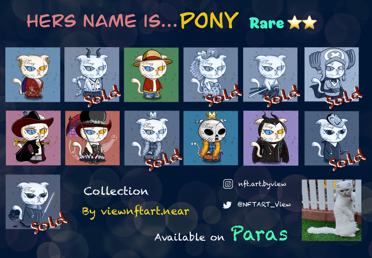 Pony Cat tweet media