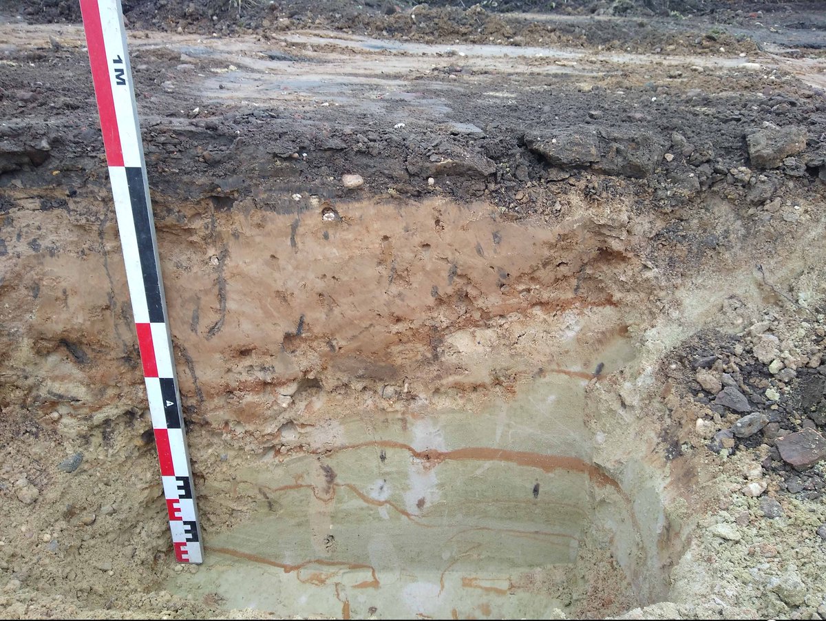 RAAPerfgoed's tweet photo. Op sommige plekken kunnen we naast #boringen ook een #profiel opnemen. Dit profiel uit Zuid-Limburg ziet groen aan de onderkant. De kleur komt van het mineraal glauconiet dat er miljoenen jaren geleden is ontstaan door nabijheid van de Krijtzee #vooronderzoekvrijdag
#archeologie https://t.co/WDezuJO5AL