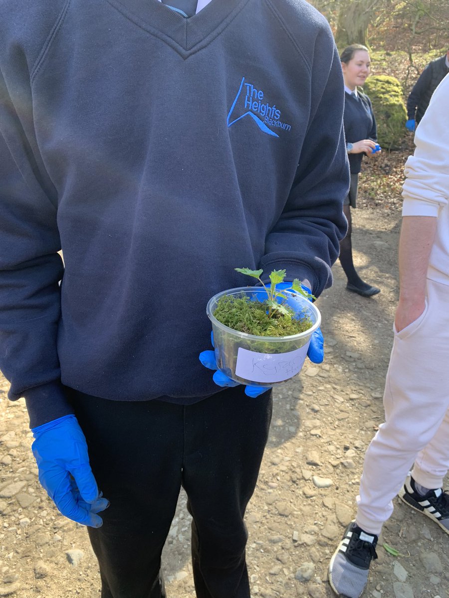 heights_o's tweet photo. STEM week field trip creating Terrariums with some of our Y9 students. We have some very creative minds #STEM @Head_TheHeights @TheHeightsSport @TheHeights_PC https://t.co/riqLNzvO1t
