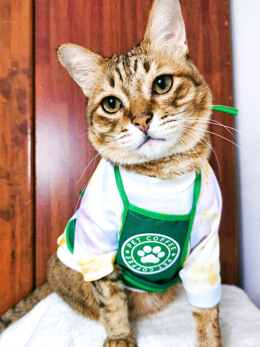 petstoremy_'s tweet photo. https://t.co/xtgMNhYVze