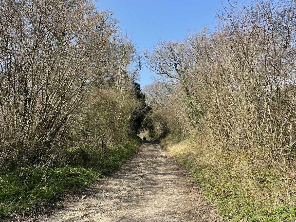 Ange412's tweet photo. Just a beautiful week away in our old motorhome exploring places on the Solent #HAMPSHIRE #thesolent #motorhomeadventures https://t.co/26hTTb2kms