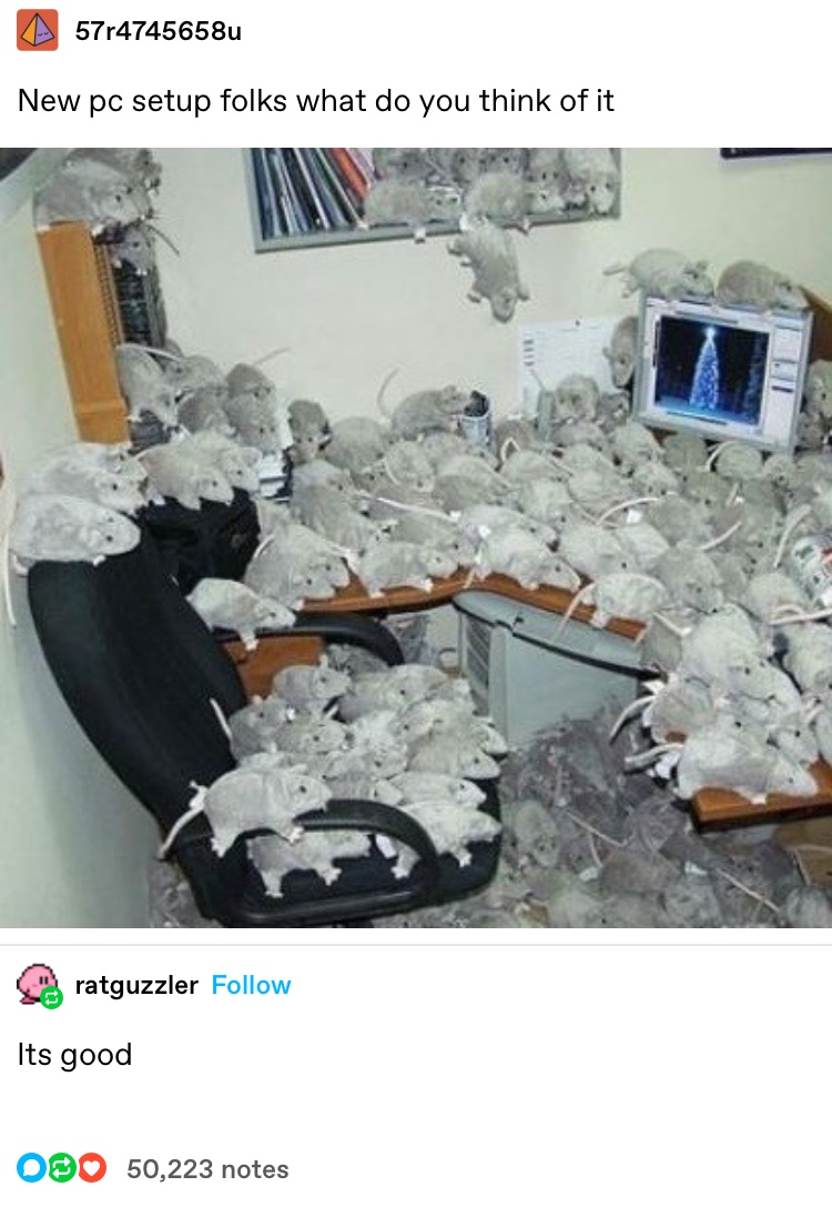 rats
