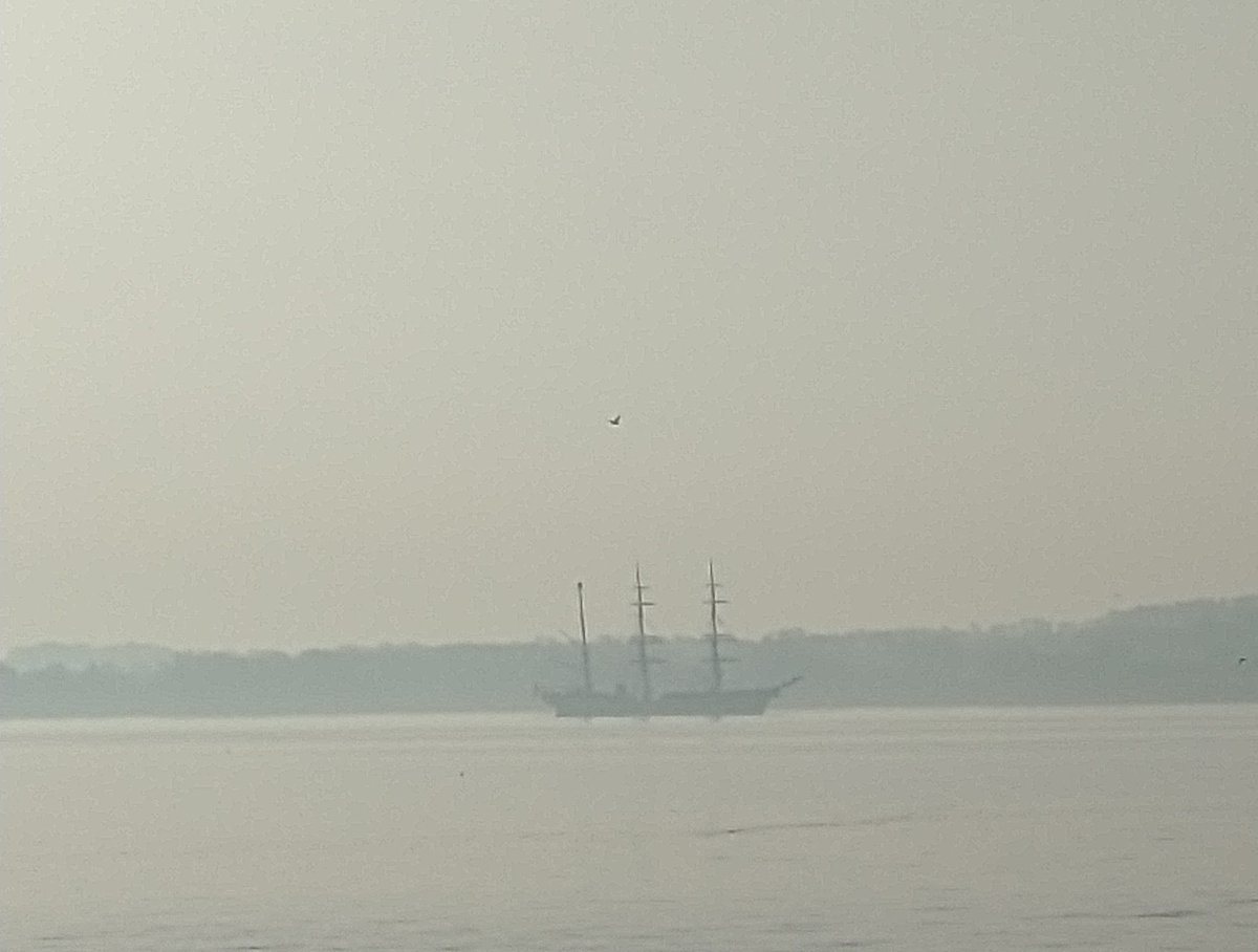 hoennige's tweet photo. Something lighter in these times: #Gorchfock appearing in the early morning mist before she will return to her berth at Kiel harbour later today. Seen from Friedrichsort. https://t.co/D4dxOj3XdW