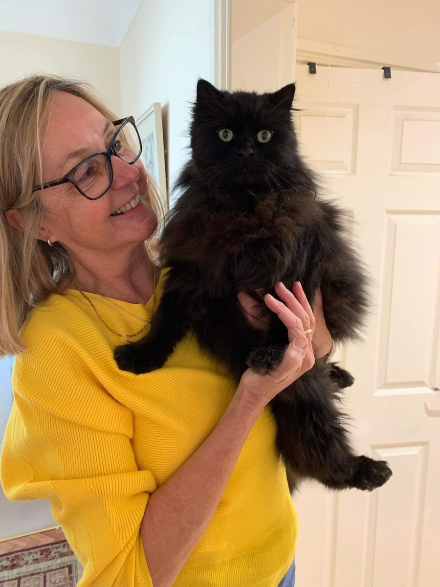 jeannetta48's tweet photo. Best news - our beautiful Baggy cat has been found after 5 long months- thank you to all who shared my posts and tagged me in various sightings &amp; special thanks to Cats Protection. 
To all those still looking for their lost pet, don’t give up, amazing things can &amp; do happen ❤️ https://t.co/OGjNKc4b1j