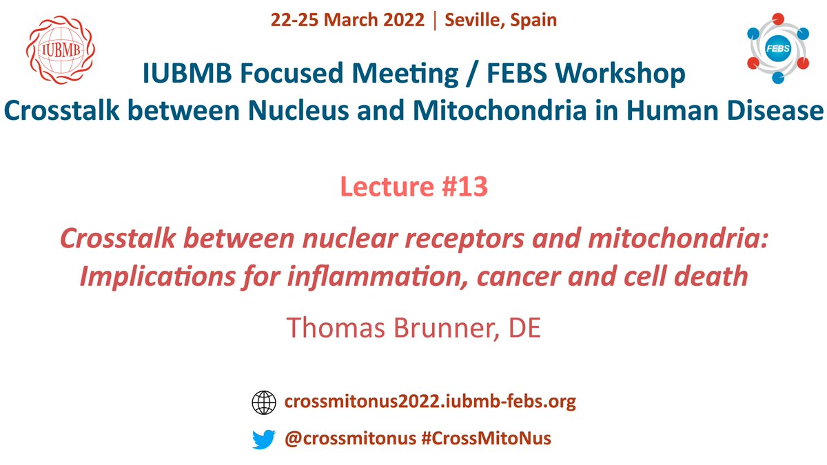 crossmitonus's tweet photo. Lecture #13:

👨Thomas Brunner

University of Konstanz,
Konstanz, Germany

🗓️FRIDAY March 25
🕡9:35h

#CrossMitoNus https://t.co/5cF8m3cXOY