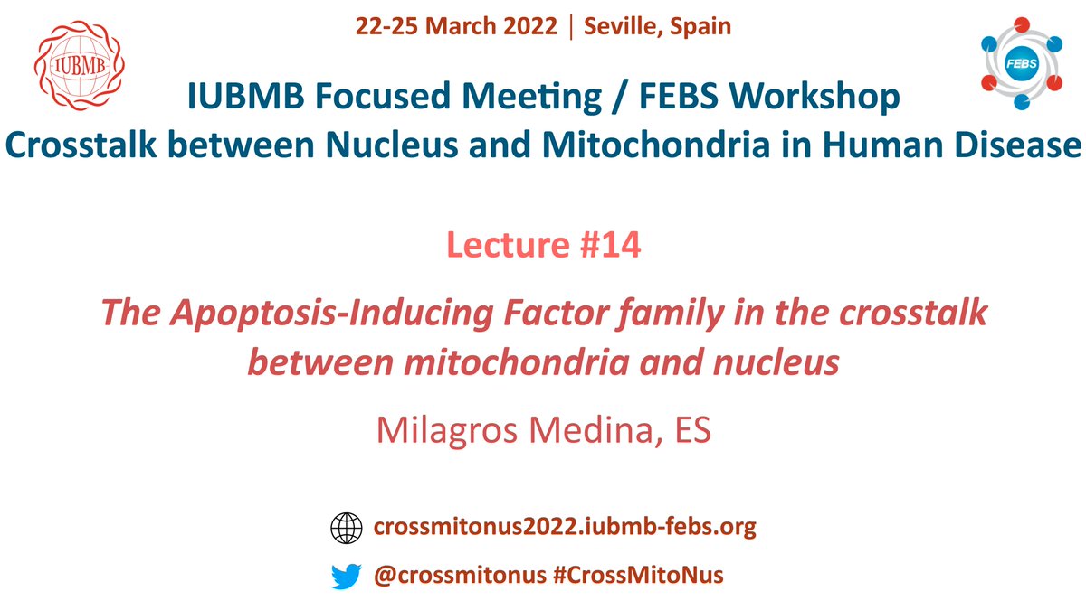 crossmitonus's tweet photo. Lecture #14:

👩Milagros Medina

Institute for Biocomputational and Physics of Complex Systems (BIFI),
Zaragoza, Spain

🗓️FRIDAY March 25
🕡10:10h

#CrossMitoNus https://t.co/6v7dgwb968