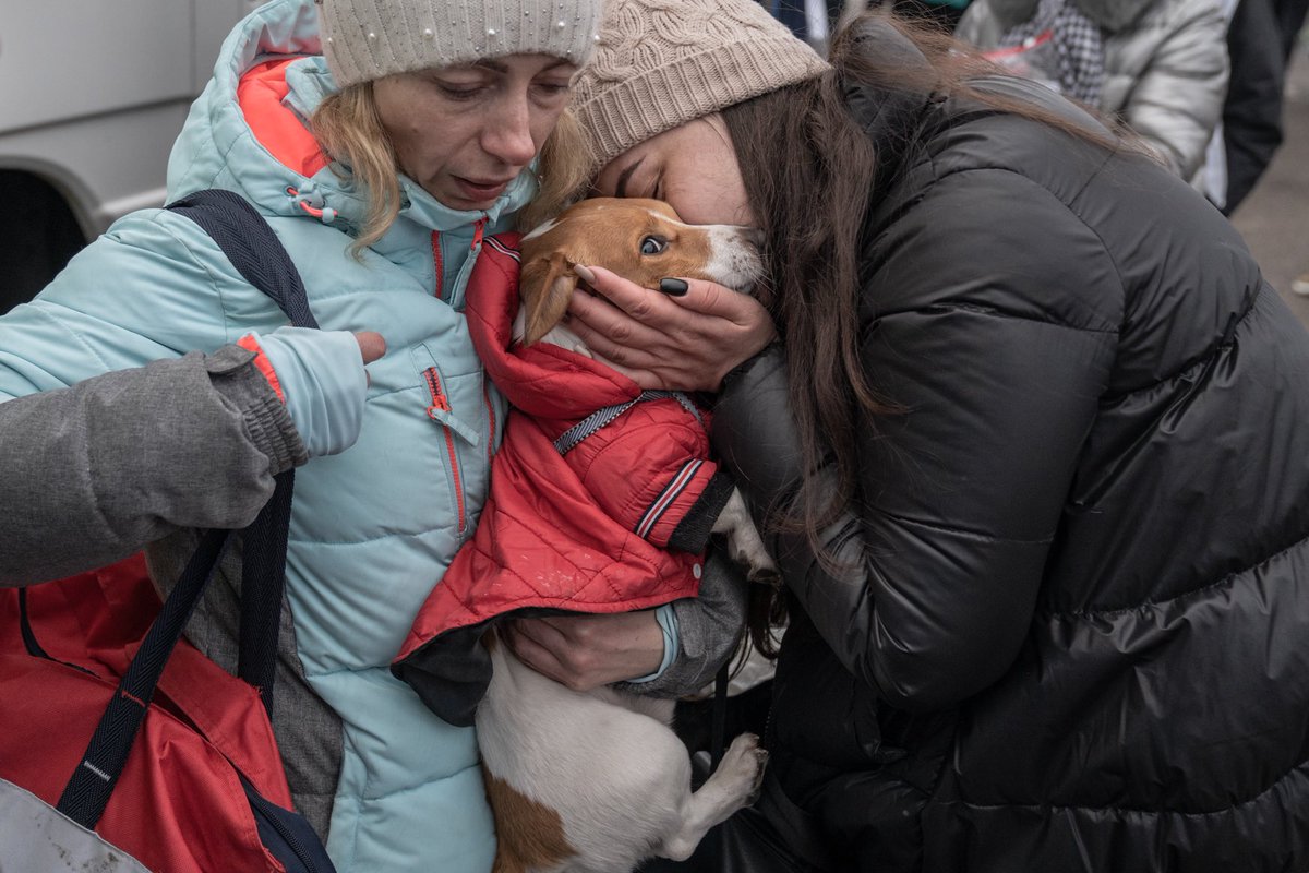 icmoldovan's tweet photo. Ukrainian refugees hugging and kissing their dog after passing through the Siret border crossing, Romania, March 2022.
#Ukraine #peaceforukraine #refugees https://t.co/qIonTwIEGF
