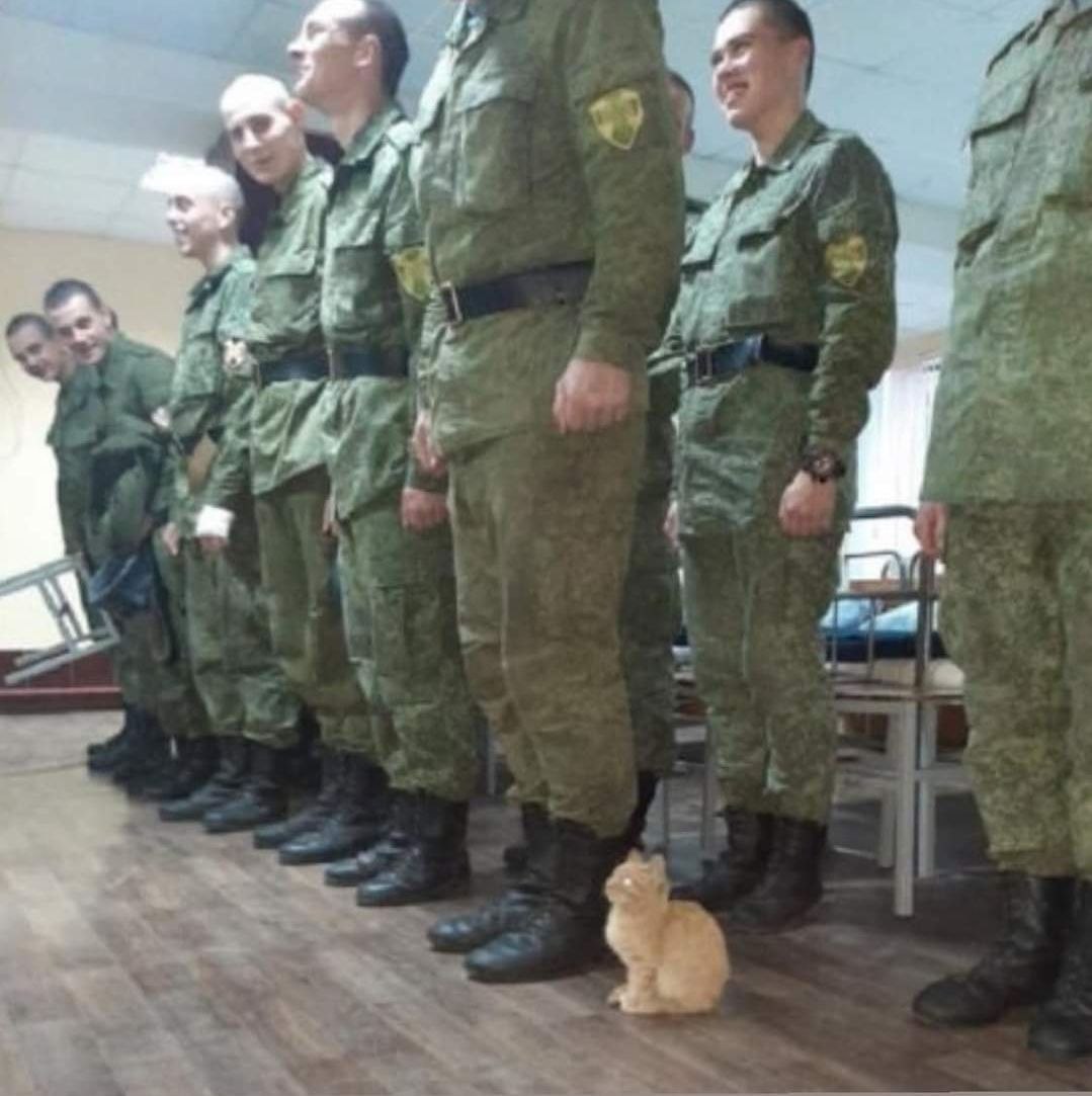 uhudaslan_'s tweet photo. Rus askerleri ve kedi.
Hemde sarı.🤣🤣
Tam bir asker. https://t.co/fLgdd3IytV