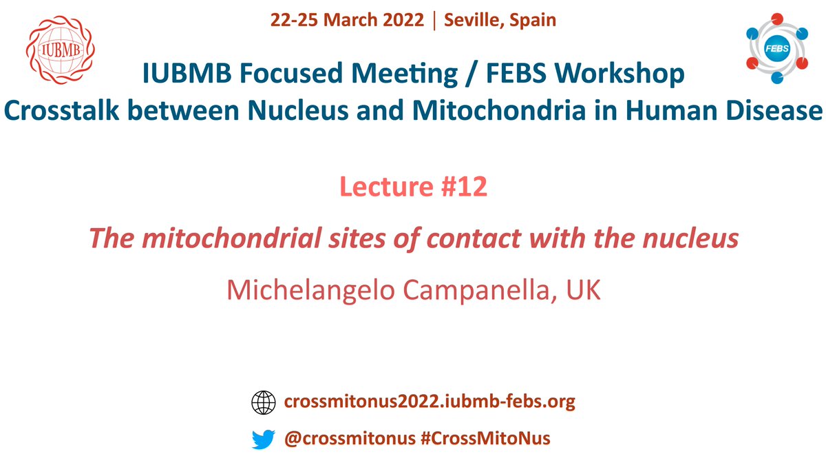 crossmitonus's tweet photo. Lecture #12:

👨Michelangelo Campanella

University of London,
London, United Kingdom

🗓️FRIDAY March 25
🕡9:00h

#CrossMitoNus https://t.co/zIaA89IF7H