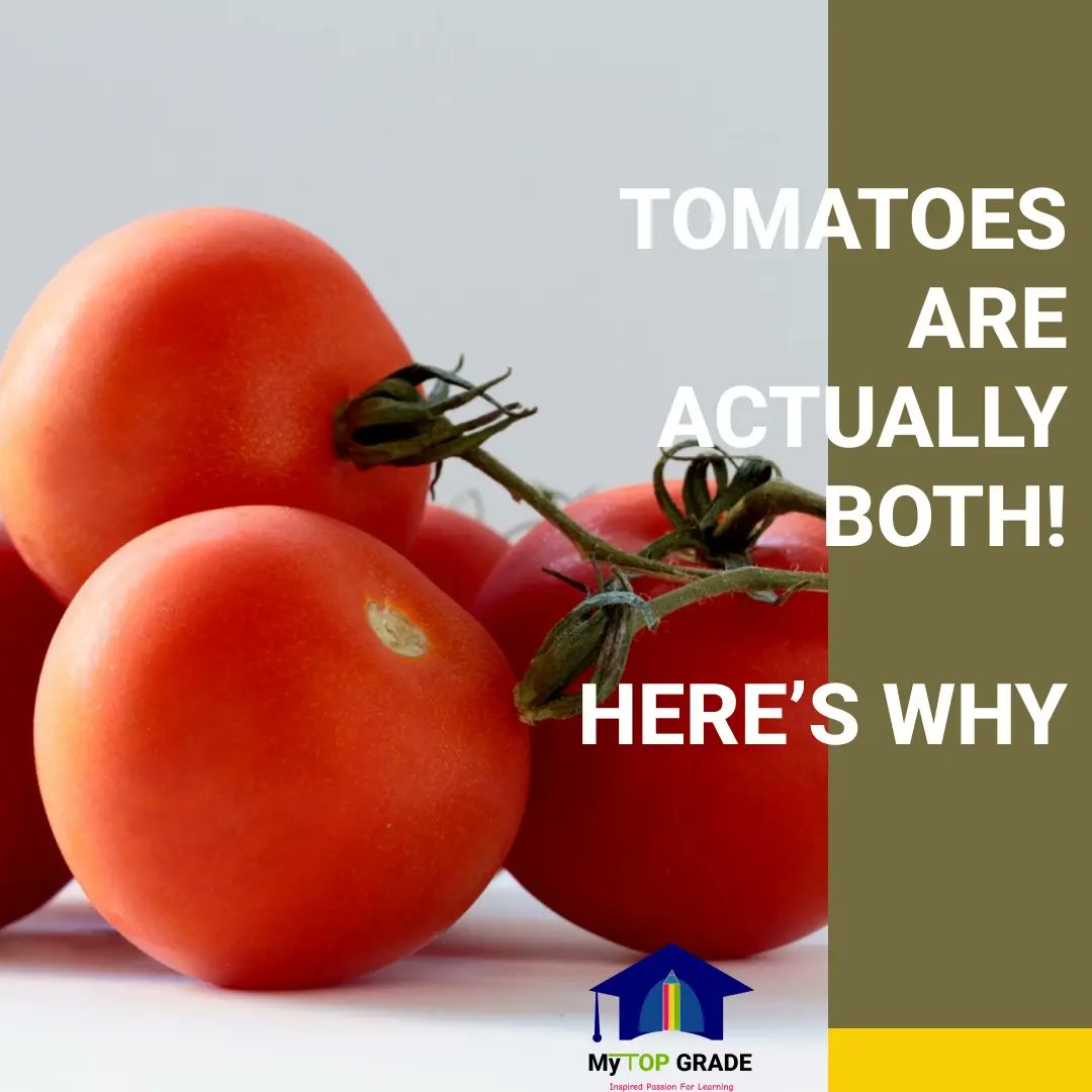 mytopgrade's tweet photo. Test your knowledge of basic science. Are tomatoes actually in the family of veggies? Share your concern and thoughts if you're one of those who still think otherwise.
#basics #basicscience #basicstudies #agriculture #sciencefacts #jss1 https://t.co/OEOHtNVcs0