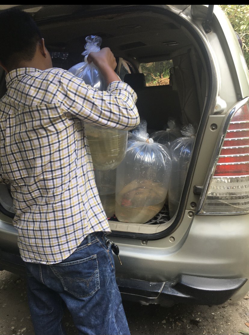 Arwinda_novitri's tweet photo. Kamis (24/3), Arwinda Novitri, PPB Kota Pekanbaru, di Pokdakan Projo Mukti Pebatuan mendampingi Panen Larva Ikan Patin, sebanyak 300.000 ekor, harga Rp.8/ekor #GiatLuhkanSatminkalMedan #Pekanbaru #Panen https://t.co/oVUHJSMXMN