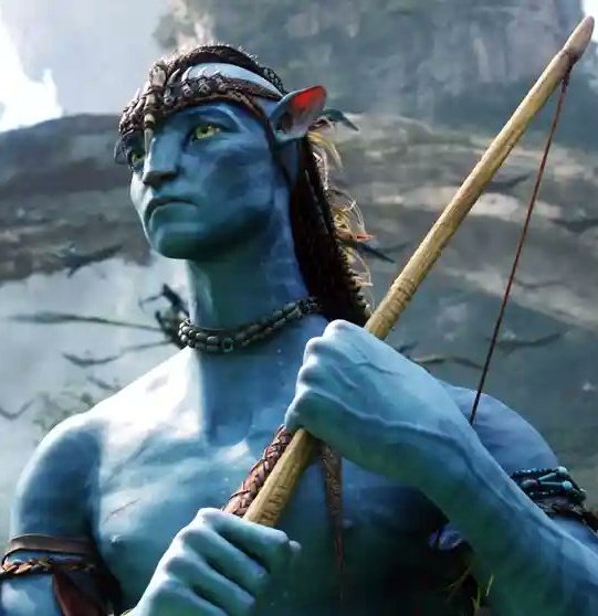saqlainavenger's tweet photo. โ#Avatar2 or #Pathaan are true event films for the multiplex audience across India.โ: #Box_Off_India https://t.co/nZoIDlTcLe
