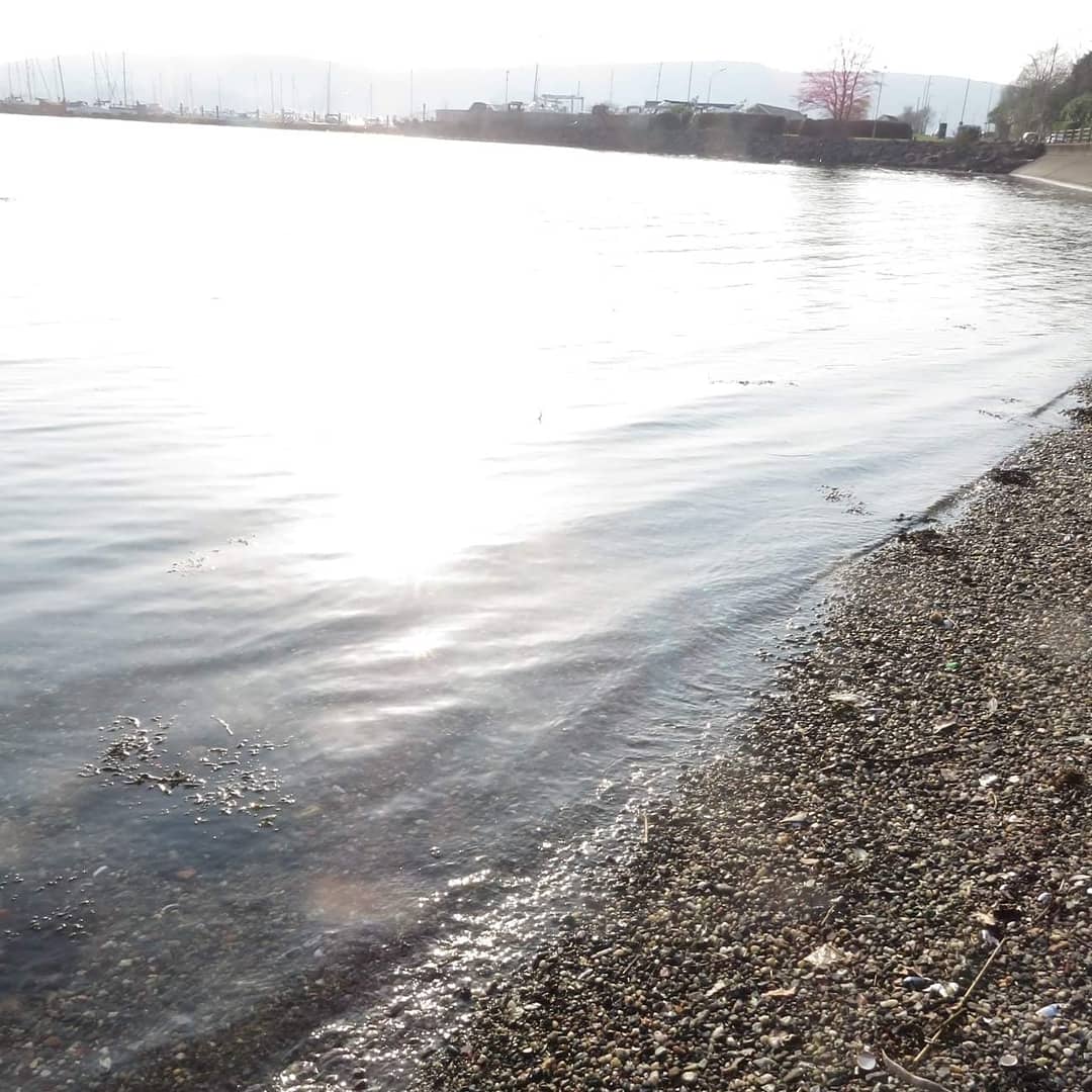 PFHelensburgh's tweet photo. #Lucozade litter. It still had plenty of fizz when I emptied it to recycle the glass bottle. 
#MiniBeachClean https://t.co/n5MoLi1CHX
