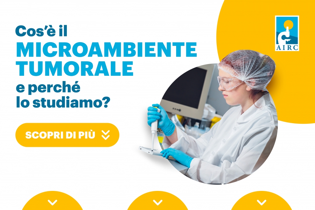 AIRC_it's tweet photo. Nel tempo, l’attenzione dei ricercatori si è focalizzata non solo sul tumore ma anche sul #microambiente che lo circonda. Agire sul microambiente tumorale è infatti una delle strategie per tenere a bada il tumore.
#airc #ricercadibase
Scopri di più:
https://t.co/6s0HIsJuWy https://t.co/YvOLRZlrXv