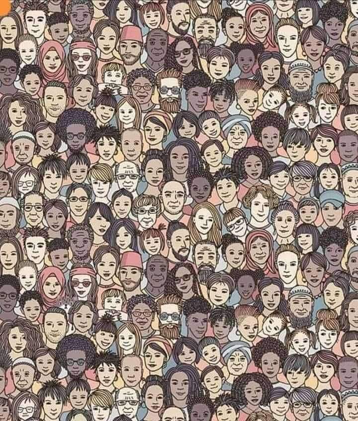 CamielAcbosh's tweet photo. Where is the #cat ? https://t.co/yF48WOrNf3