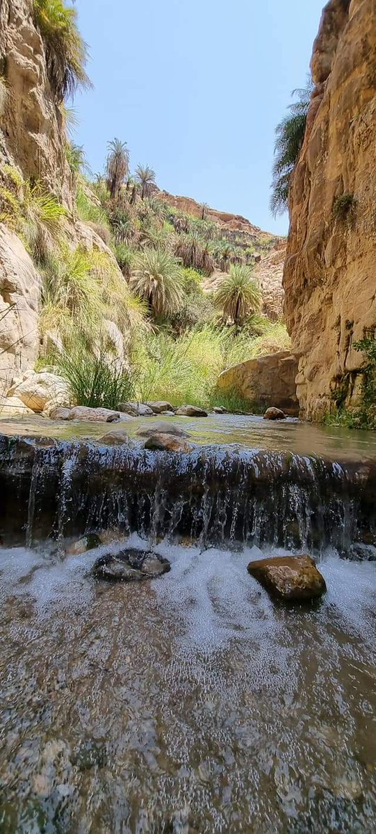 اللهم إني أسألك في يوم الجمعة أن تنزل على كل قلب مهموم رضا ورحمة 
وأن ترزقه السكينه 

#صباح الخير