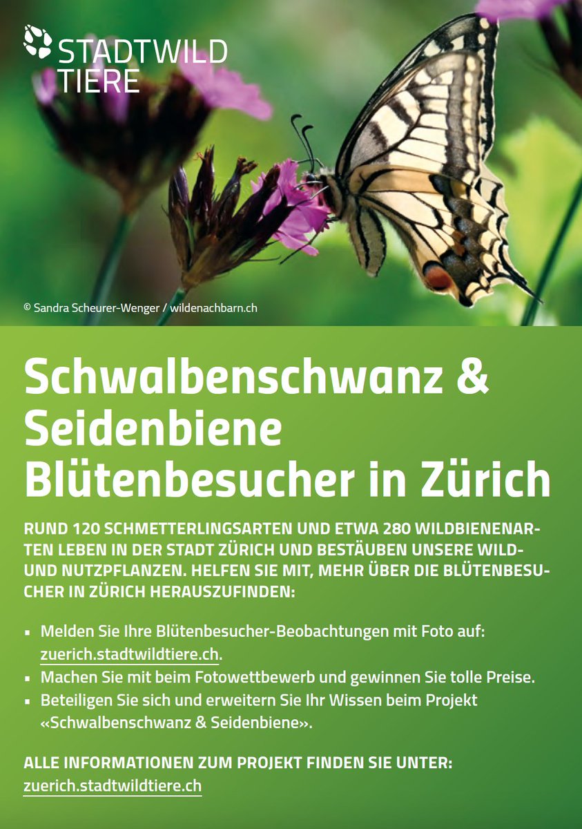 Freiwillige für städtisches Wildbienenprojekt gesucht! Interesse mitzumachen? Meldet euch! 🐝🦋
zuerich@stadtwildtiere.ch
#citizenscience #urbanwildlife #wildbees #Butterflies